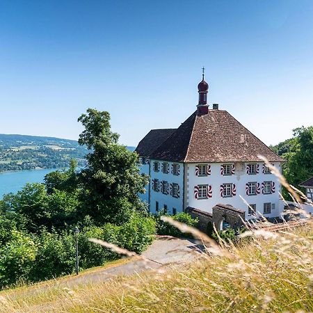 Schloss Freudenfels 에스첸즈 외부 사진