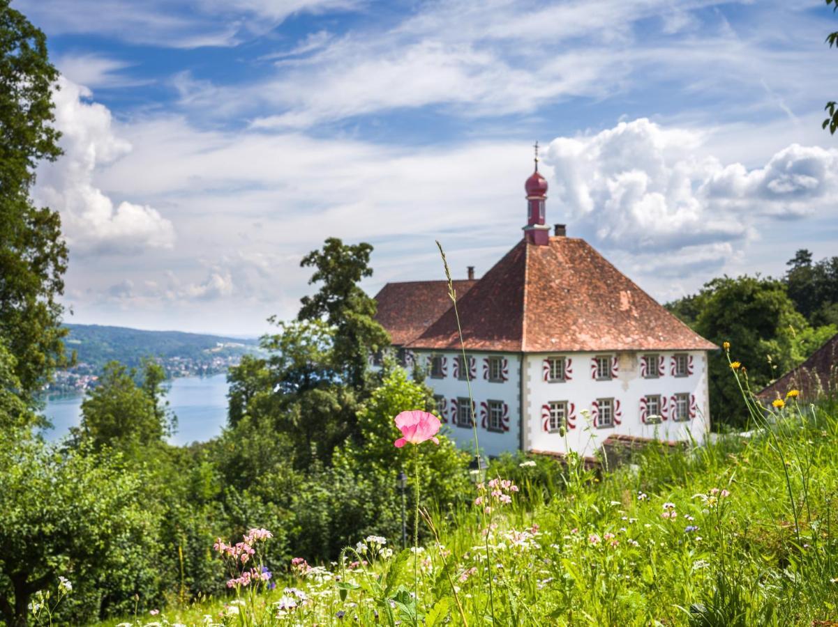 Schloss Freudenfels 에스첸즈 외부 사진