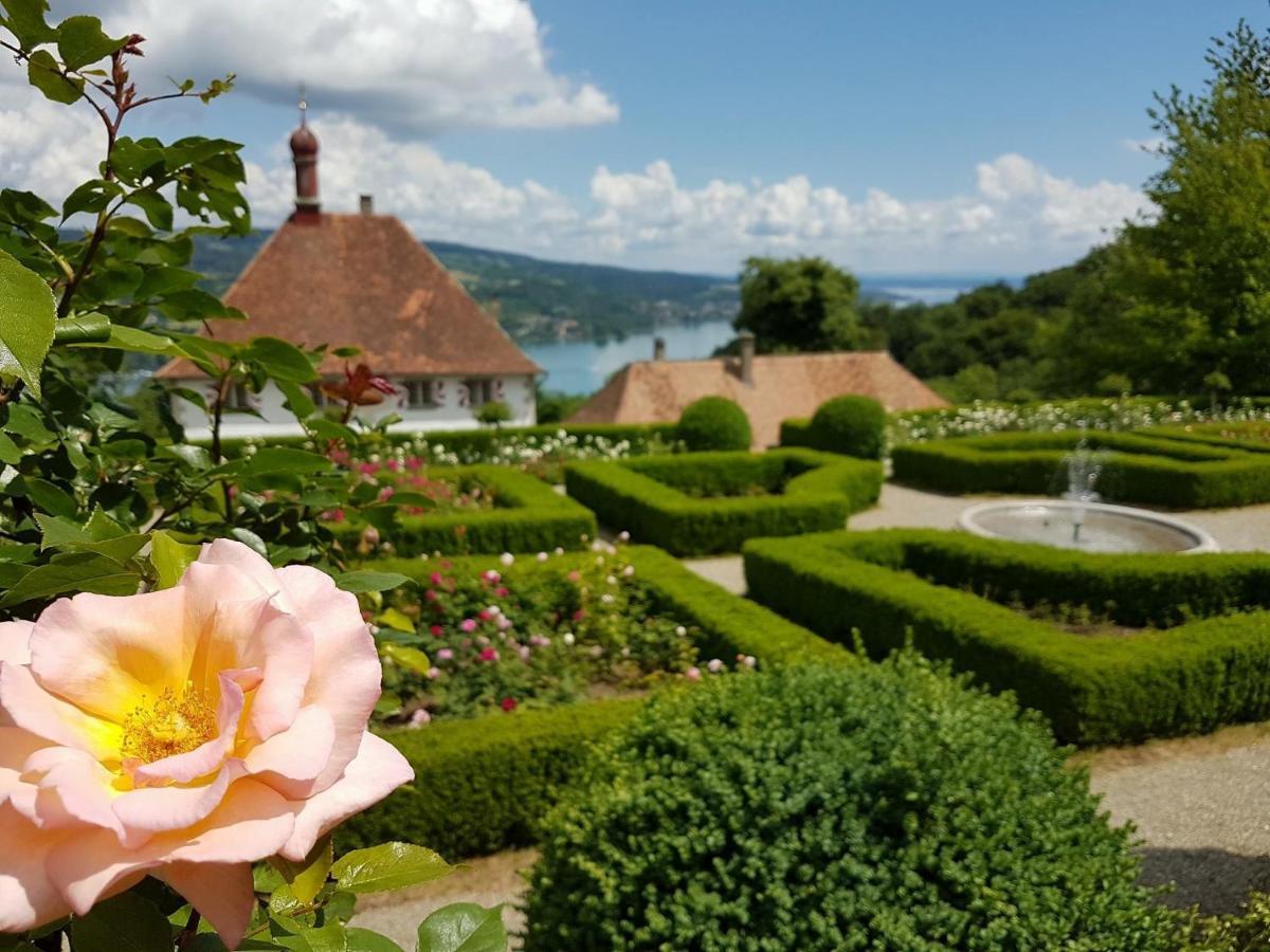 Schloss Freudenfels 에스첸즈 외부 사진