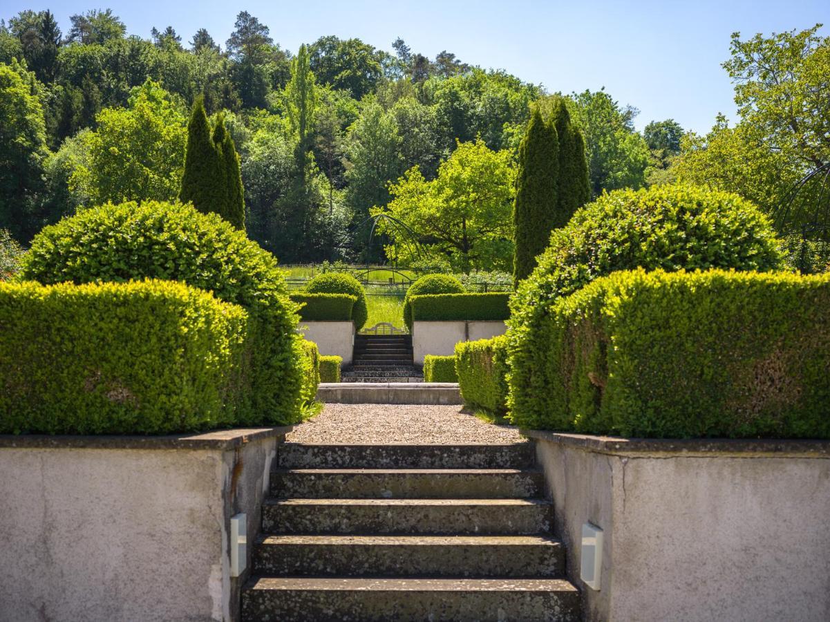 Schloss Freudenfels 에스첸즈 외부 사진
